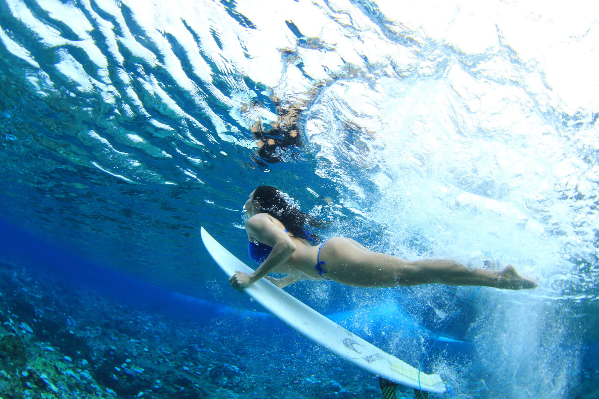 pohnpei blog