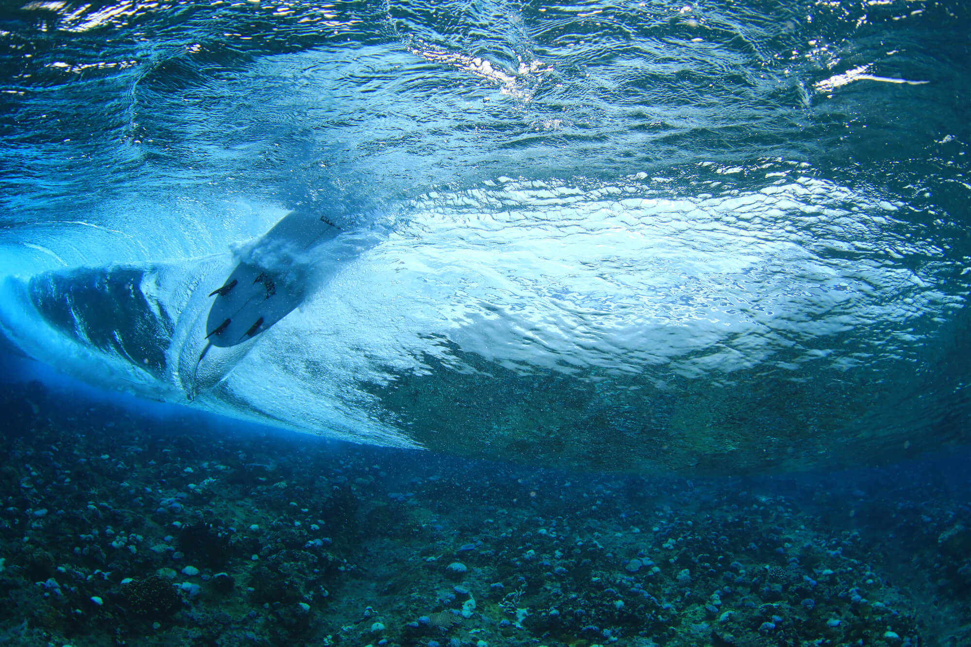 pohnpei blog