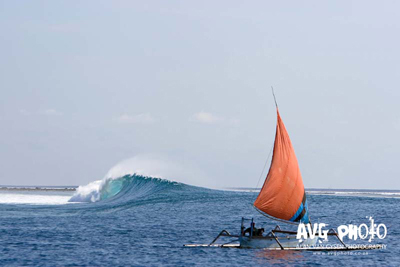 SurfTravelphoto