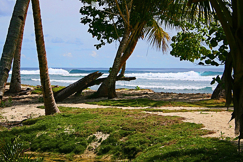 Kingfisher bay resort