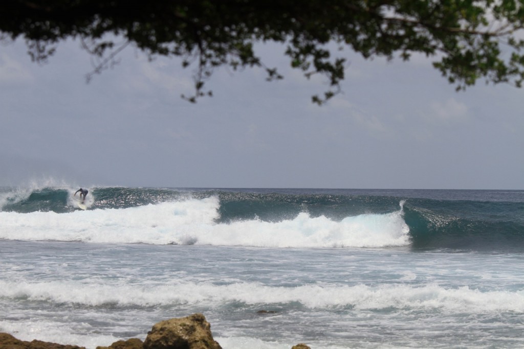 Pasta_Point_Surfing