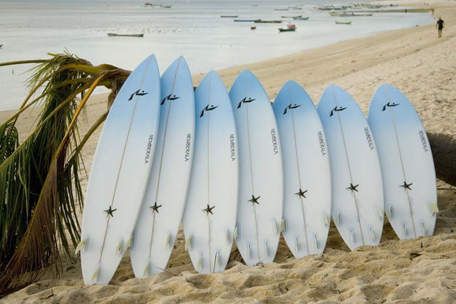 Surfboard Airline Fees