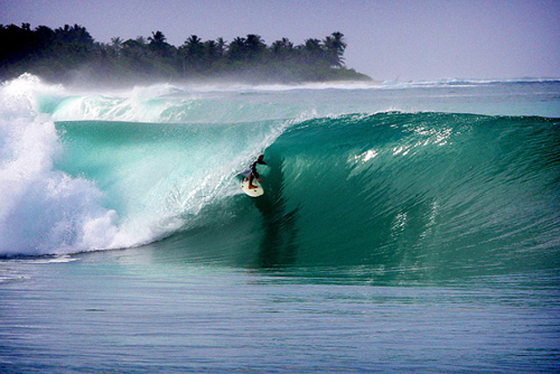Surfing Macaronis