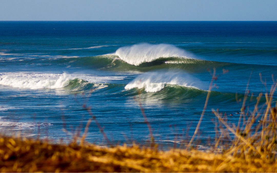 Two Brothers Surf Resort