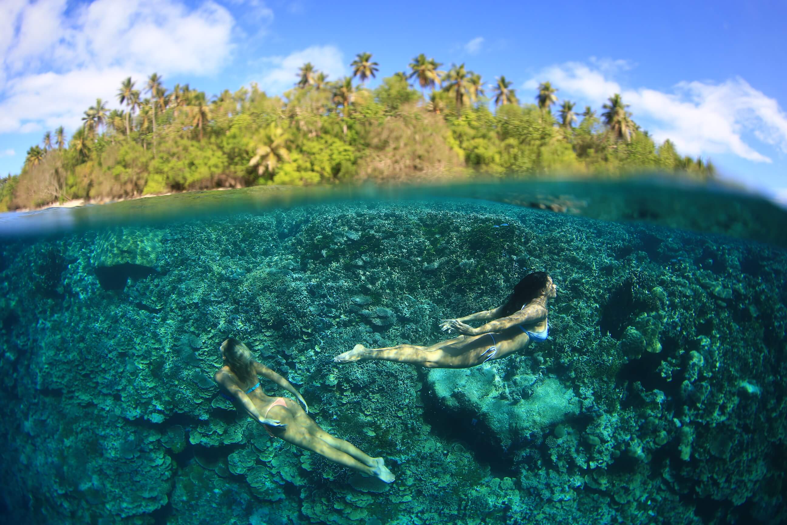 Pohnpei Surf Club Western Pacific Surf Camp in Caroline Islands