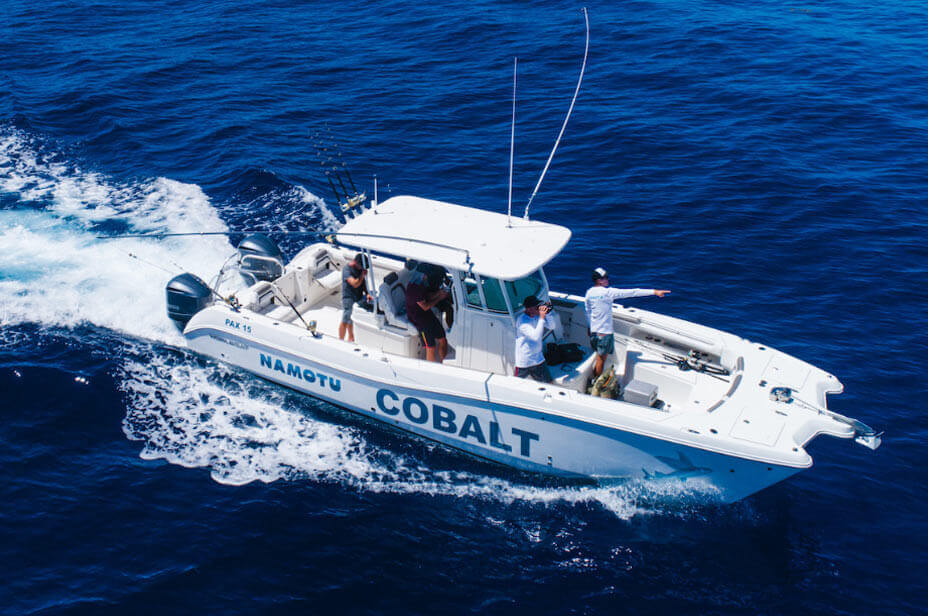 Colbalt Day Charter