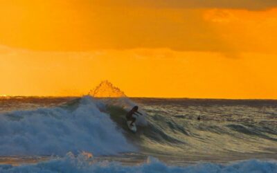 Costa Rican Surfing Paradise Bingo