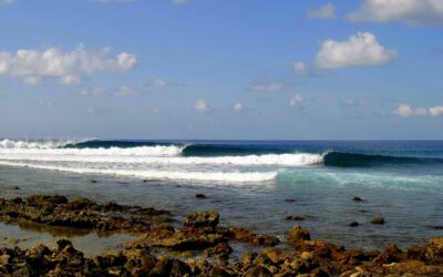 Who Surfed It First?