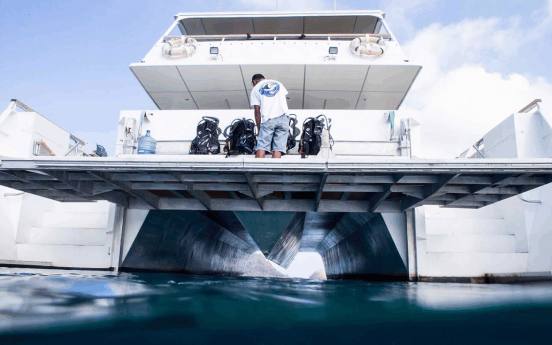Boat Trips Vs. Land Camps