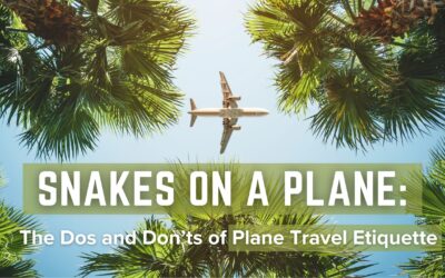 Snakes On A Plane: The Dos and Don’ts of Plane Travel Etiquette