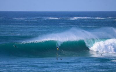 Tom Myers’ Wild Ride